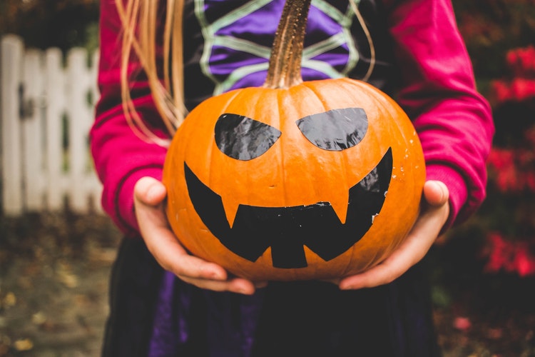 The Halloween Niche Blueprint: A Scarily Good Opportunity