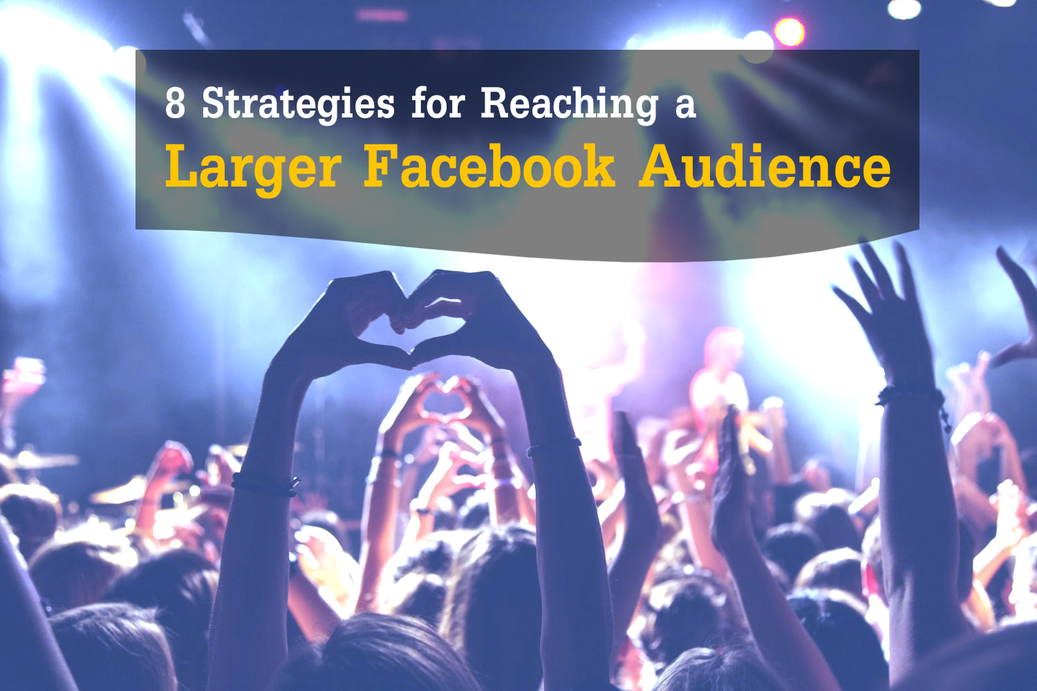 Larger Facebook Audience