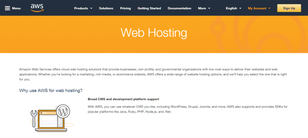 Amazon Web Services Hosting