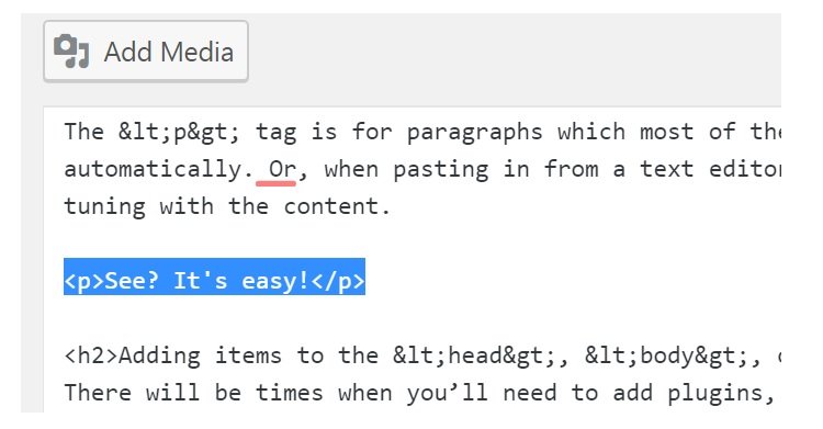 Paragraph Tags
