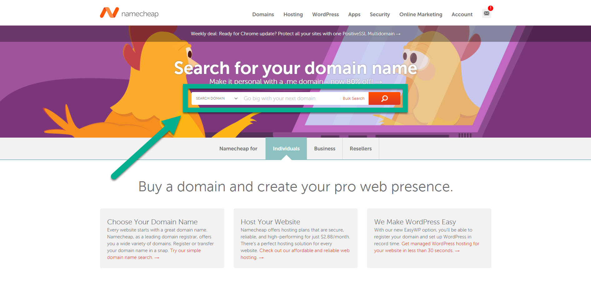 NameCheap Home Page